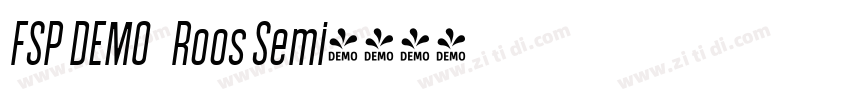 FSP DEMO   Roos Semi字体转换